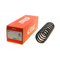 R10287 EIBACH Пружина ходової частини