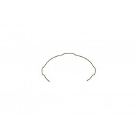 Кільце синхронізатора (1-2-3 передача) Fiat Scudo/Ducato 06-