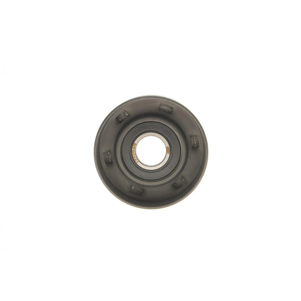 Ролик генератора Renault Clio III/Megane II//Scenic II 2.0 1.6V/1.9dCi 03- (натяжний) (65x30) (MPQ0087)