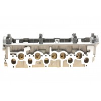 50003101 KOLBENSCHMIDT Головка циліндра