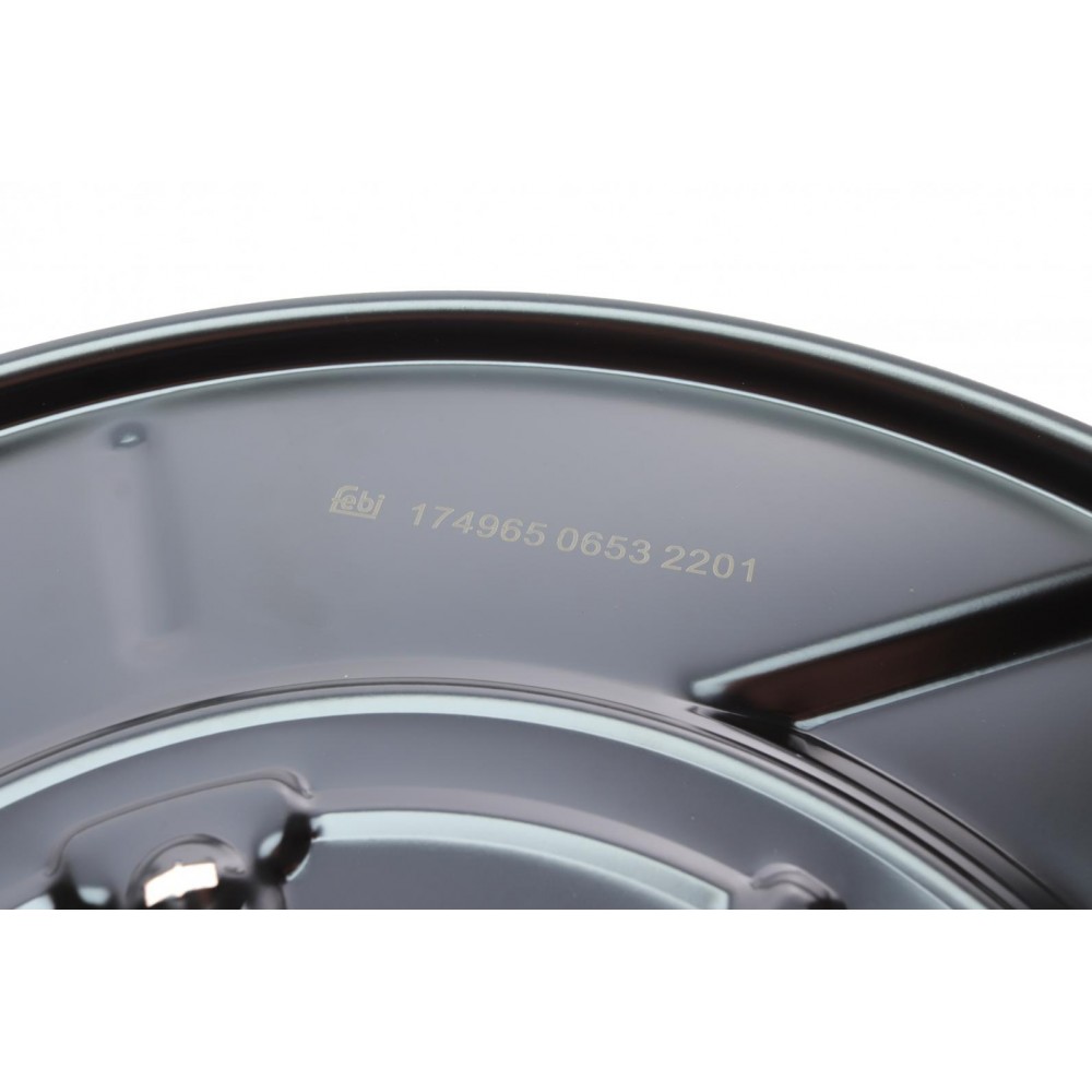 Захист диска гальмівного (заднього) (R) BMW X5 (E53) 00-06