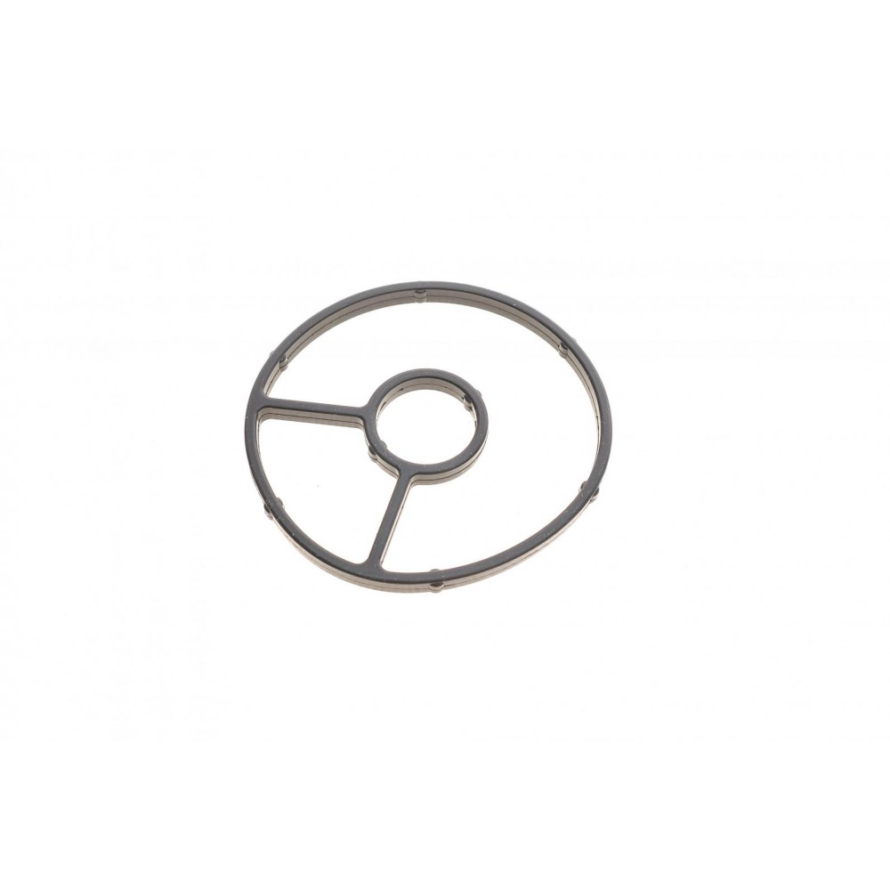 Прокладка радіатора масляного Citroen Jumpy/Fiat Scudo/Peugeot Expert 2.0 HDI 07-16 (к-кт)