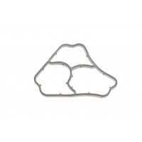 Прокладка корпусу фільтра масляного Mini (R50/R53) 1.4/1.6 (W10/W11) 01-08