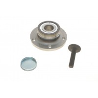 Підшипник маточини (задньої) VW Caddy 03-/Golf V/Skoda Octavia (к-кт)