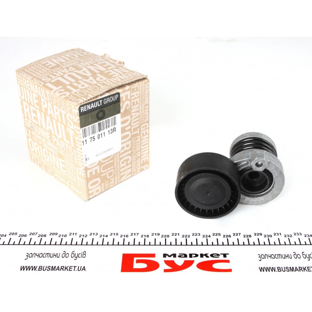 117501113R RENAULT Ролик приводного ременя