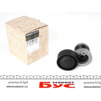 117501113R RENAULT Ролик приводного ременя