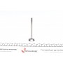 Клапан (випуск) Audi A4/A6/VW Golf V/VII 1.8TSI-4.2FSI 02- (28x6x102) (азотований)