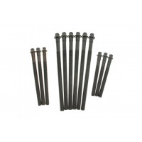 Болти головки (к-кт 12шт.) BMW 3 (E90)/5 (E60)/X3 (E83) 03-15 N43/N45/N46