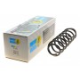 36-300075 BILSTEIN Пружина ходової частини