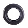 Шина IceMax RW501 205/60 R16 XL 96H (зимова)