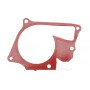 Прокладка помпи води Renault Kangoo 1.5 dCi 01-