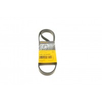 Ремінь генератора Volvo S40/S60/S80/V40/V60/V70/XC60/XC70 00- (5PK1121)