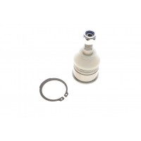 10RV2000 ASMETAL Шарнір незалежної підвіски поворотного важеля