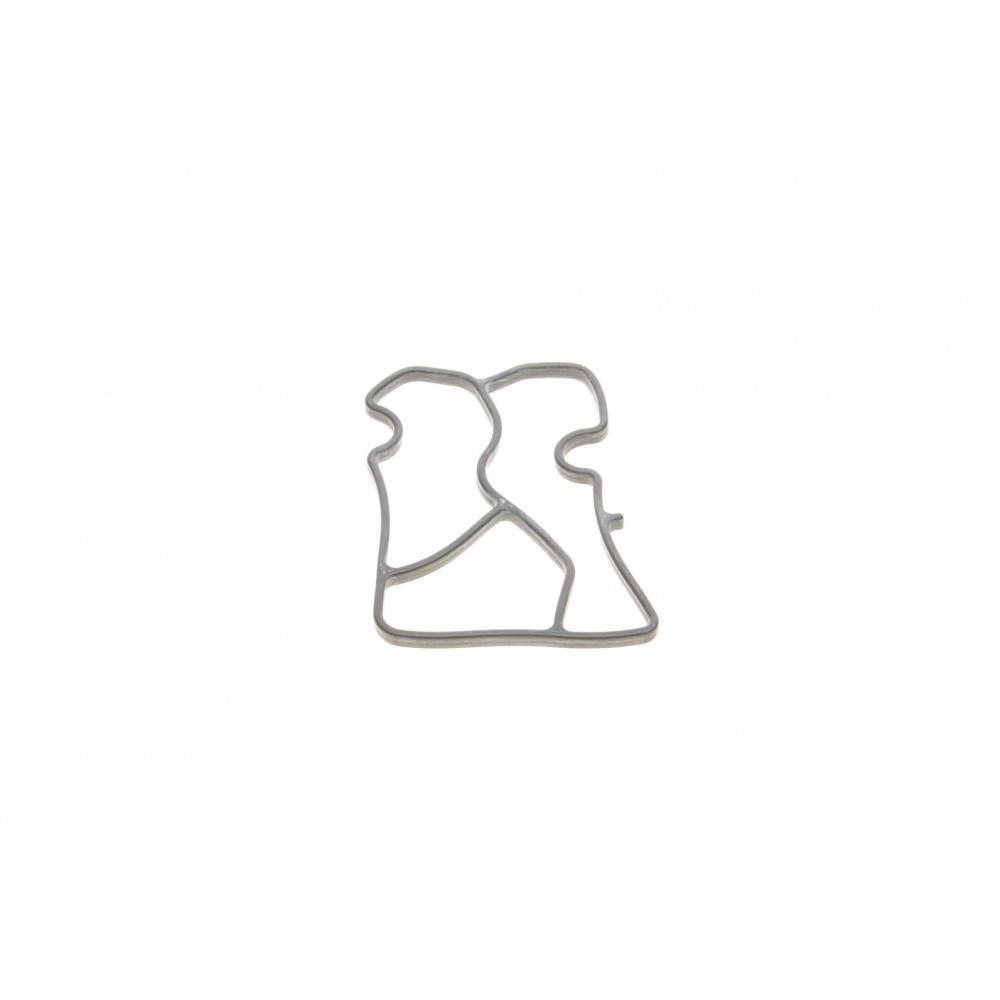 Прокладка насосу масляного BMW 3 (E46)/5 (E39) 2.0D 98-05 M47