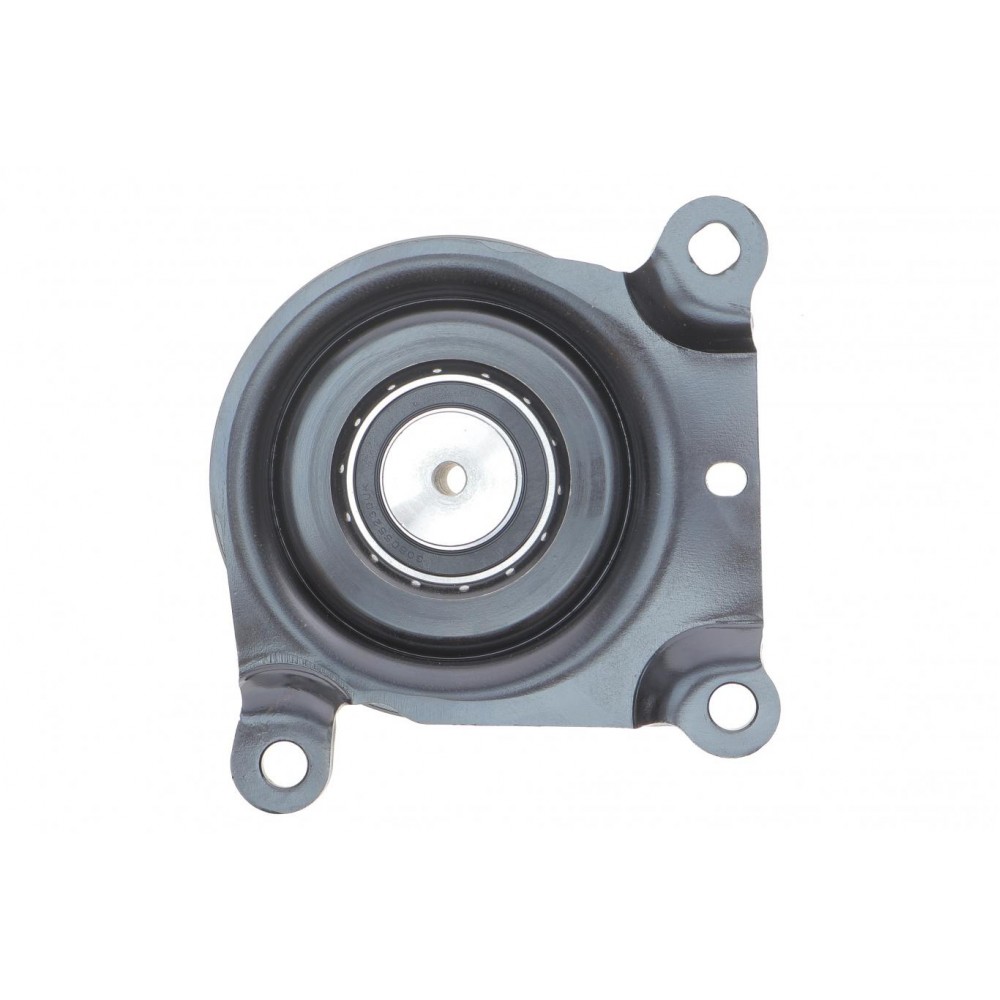 Натяжник ременя генератора Citroen Jumper 2.2HDI/Ford Transit 2.2DI 06- (+AC)