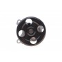 Помпа води Renault Laguna III/Megane III/Scenic III 07-15/Nissan X-Trail/Qashqai 2.0 16V 07-13