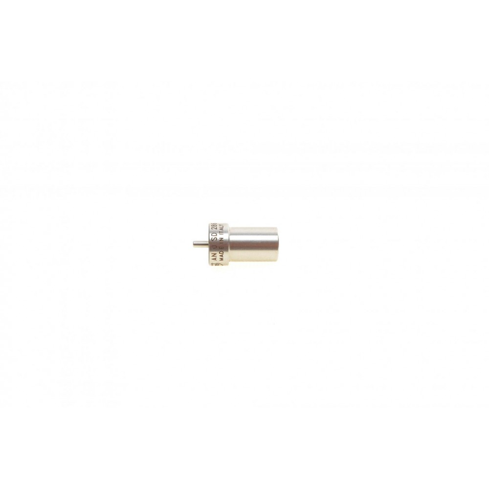 Розпилювач дизельного палива BMW 3 (E30)/5 (E28/E34) 2.4D 85-91 M21 D24