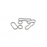 Прокладка корпуса фільтра масляного Ford Transit 2.2 TDCI 06- (к-кт)