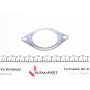 Прокладка труби вихлопної Opel Vivaro 01-/ Renault Kangoo 97-/ Trafic 1.9 DCI 01-