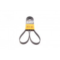 Ремінь генератора VW Golf 1.6FSI 02-06/BMW 3 (E46)/5 (E39/E60) 2.0-3.0 97-10/Ford Focus/Kuga 1.5 14-