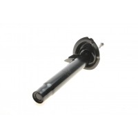 Амортизатор (передній) BMW 3 (E46) 98-05 (R) M47