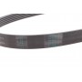 Ремінь генератора Audi/Skoda Octavia/VW Golf/Passat B6 2.0TFSI/RS/GTi/FSI 04-13/Fiat Doblo 1.9D 01-