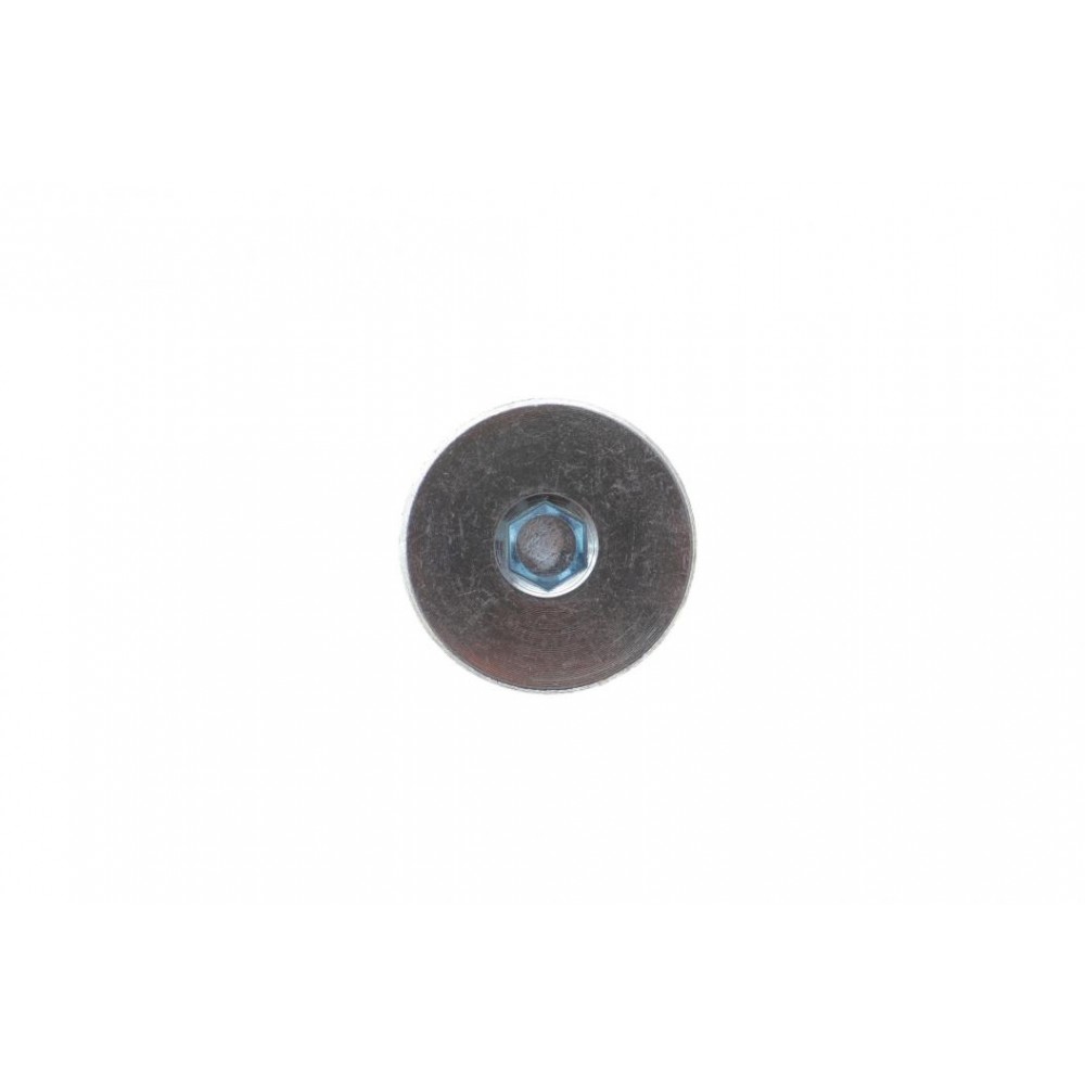 Пробка піддону картера АКПП зливна VW T5 3.2 VR6/2.5 TDI 03-09 (M10x1)