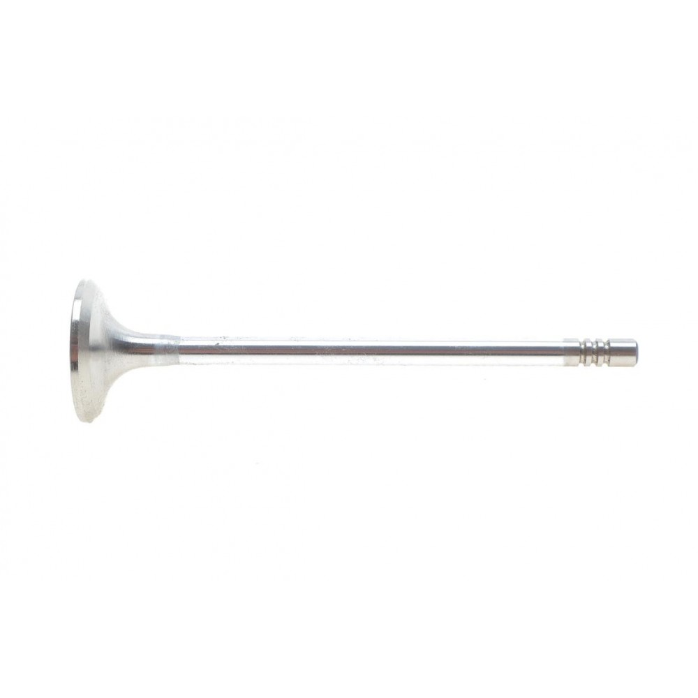 Клапан (впуск) BMW 1 (F20/F21) 1.6d N47 12-15 (24.8x5x94)