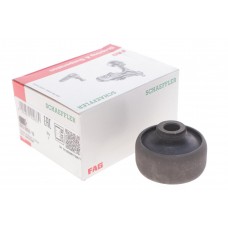 829 0055 10 FAG Підвіска важіль незалежної підвіски колеса