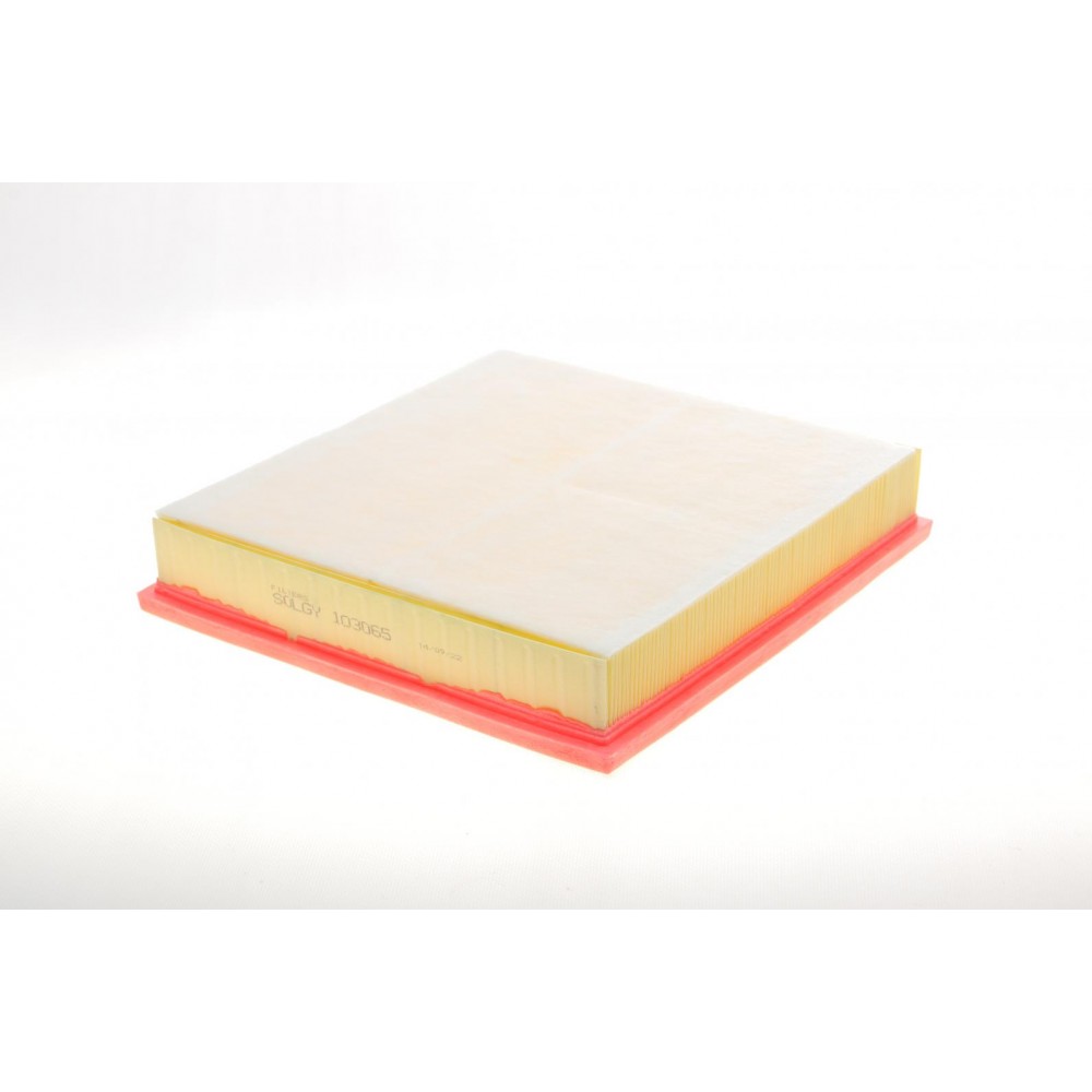 Фільтр повітряний Renault Trafic/Opel Vivaro 2.0/2.5dCi 02- (з поролоном) (без картонної упаковки)