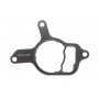 Прокладка насоса вакуумного VW Golf VI/Jetta III/IV 2.5 06-