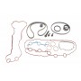 Комплект ГРМ Citroen C1/C3/C4/Peugeot 2008/208/301/3008/308 1.2 12- (16x118z) (з прокладками)