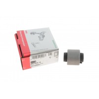 829 0229 10 FAG Підвіска важіль незалежної підвіски колеса