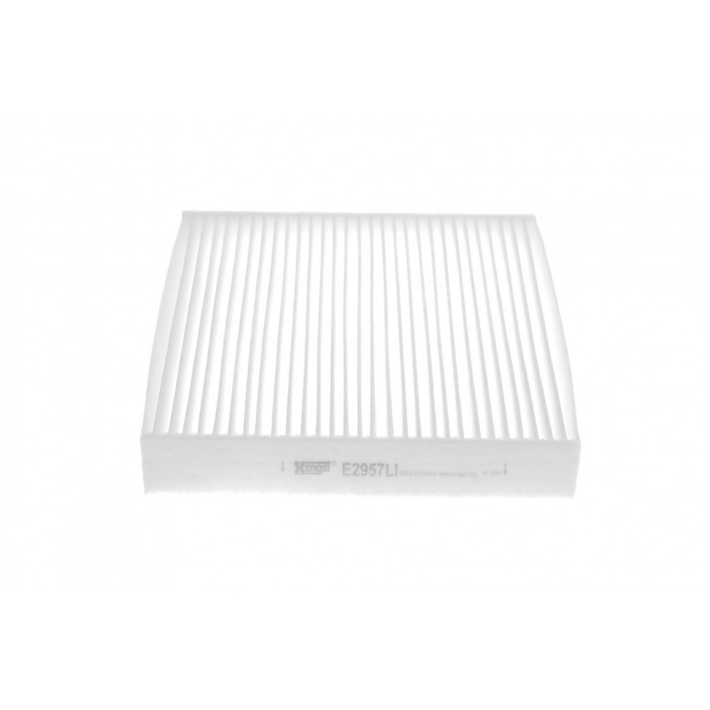 E2957LI HENGST FILTER Фільтр повітря у внутрішньому просторі