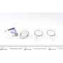 Кільця поршневі Ford Tourneo Connect/Transit Connect 1.6 13- (79.5/+0.5) (1.2-1.2-2.0) = 8921765000