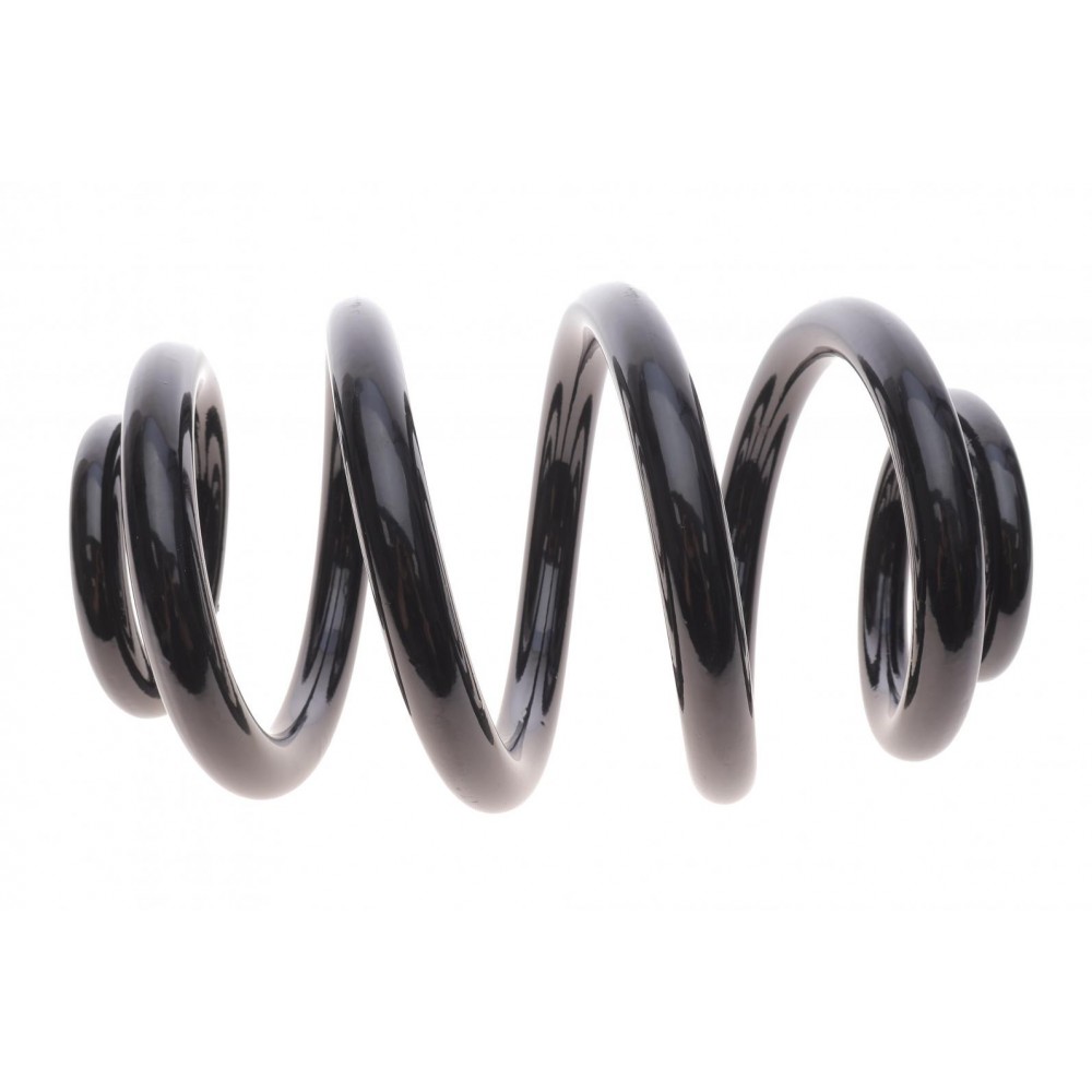 Пружина (задня) VW T5 (з тонким краєм на вітках) (5110.07)