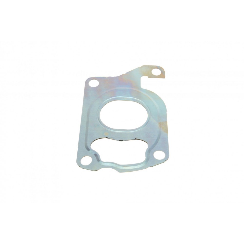 Прокладка турбіни BMW X5 (F15/E70)/X6 (F16/E71) 10-19 (трубка на злив масла)