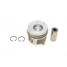 021 58 02 MAHLE Поршень