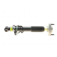 SK-3816 ARNOTT Амортизатор