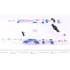 Трубка паливна Renault Kangoo 1.9 dCi 97-07 (паливний фільтр - ПНВТ) + груша підкачки
