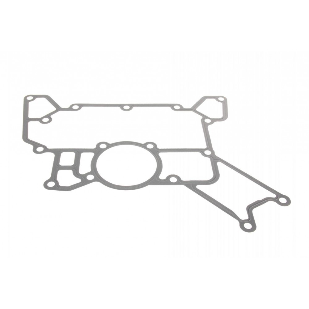 Комплект прокладок (повний) MB Actros 96-