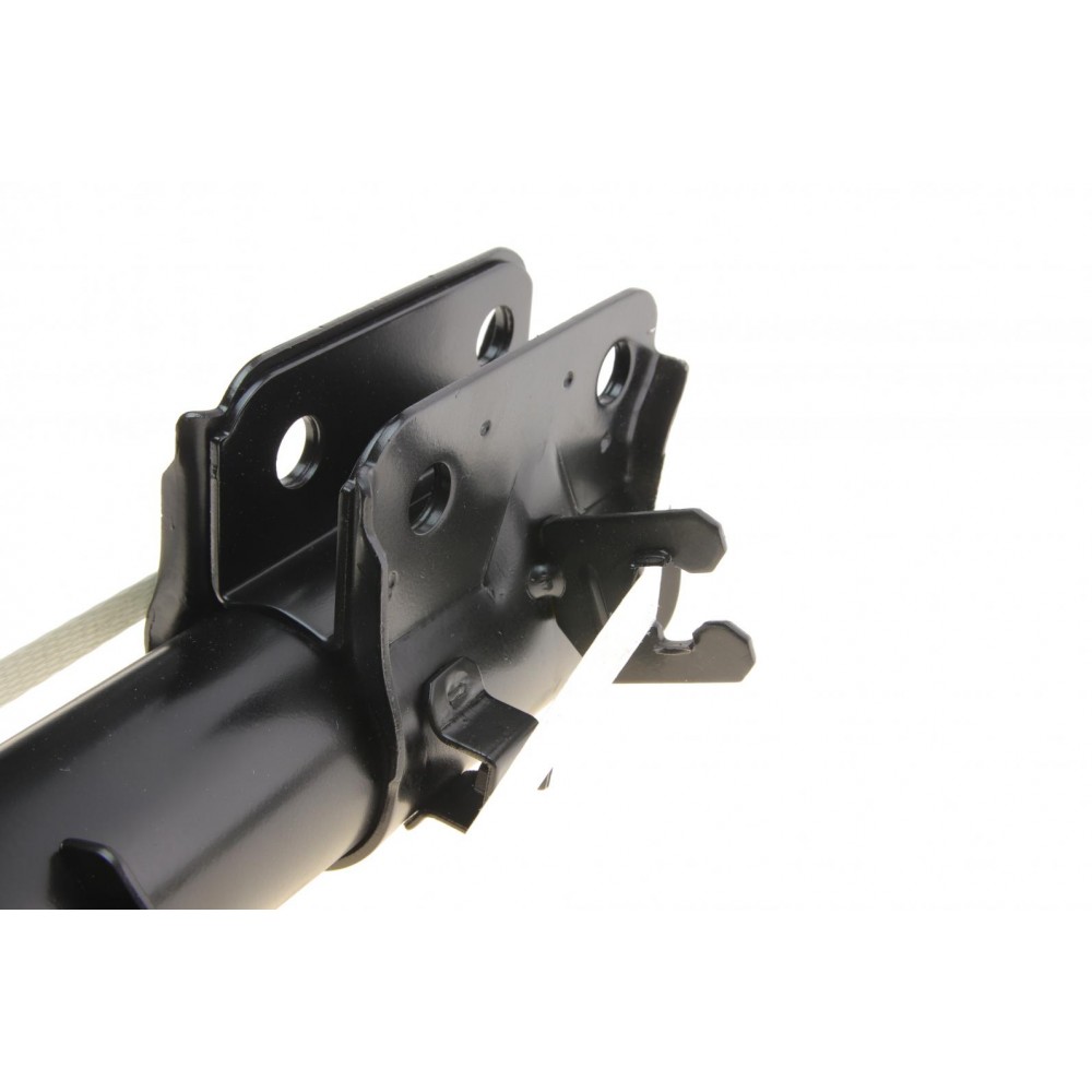 Амортизатор (задній) Hyundai Tucson/Kia Sportage 04- (L)