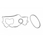 Ремінь генератора Citroen C3/C4/Peugeot 208/308 1.2 THP 13-
