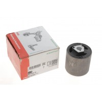 829 0310 10 FAG Підвіска важіль незалежної підвіски колеса