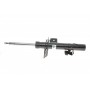 22-249784 BILSTEIN Амортизатор