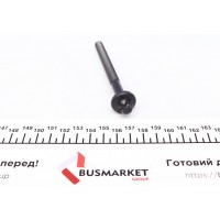 Болт головки циліндра FEBI-BILSTEIN 22411