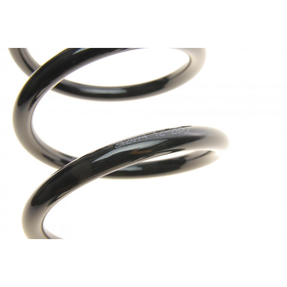 Пружина (задня) Ford Focus II 1.4-2.0/1.6-2.0TDCi/1.8 Flexifuel 04-12 (седан/нах.зад.частина)