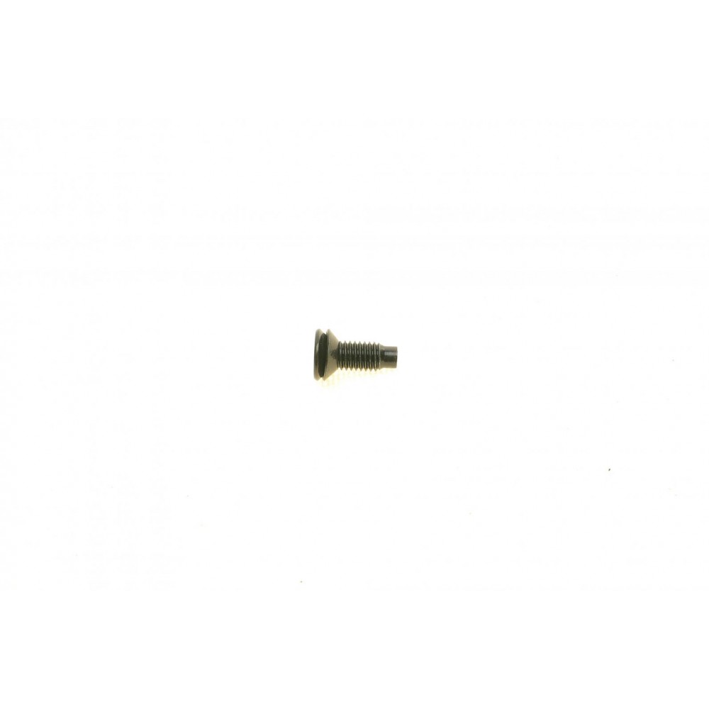 Болт скоби замка дверей (задніх) Renault Master/Opel Movano 10-