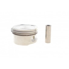 011 69 02 MAHLE Поршень