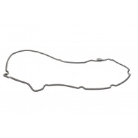 Прокладка кришки клапанів BMW 3 (E36)/5 (E39)/7 (E38) M51/Opel Omega B 2.5TD 94-03